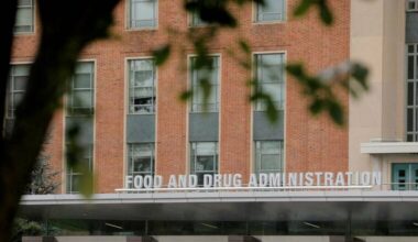 FDA approves emergency drug to treat screwworm in dogs, cats