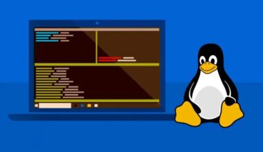 Microsoft’s new developer-optimized Windows embraces Linux even more