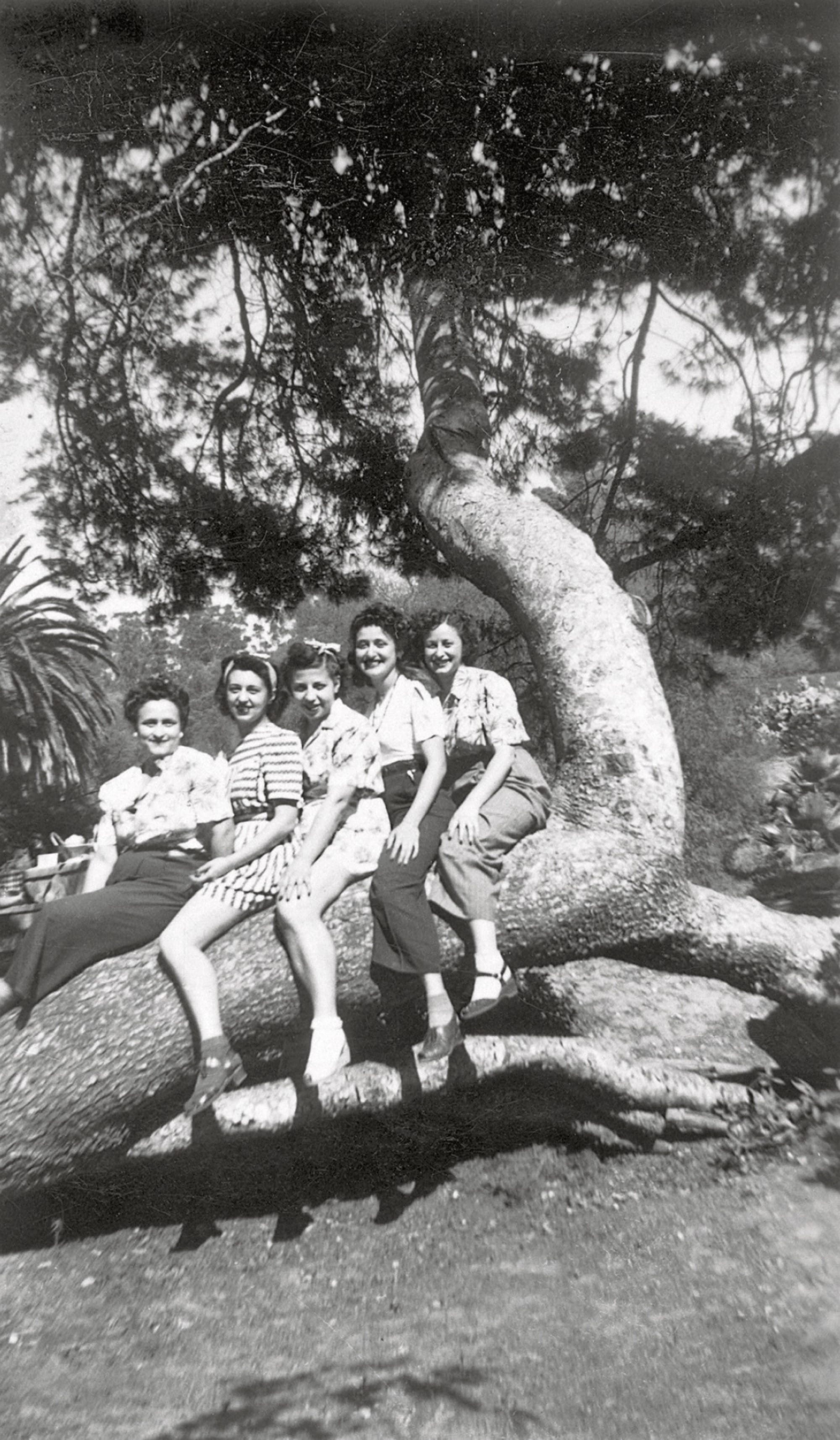 a black-and-white snapshot of five women in a tree