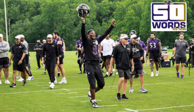 Baltimore Ravens logo