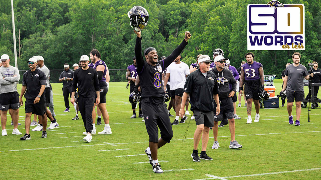 Baltimore Ravens logo
