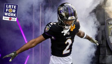 Baltimore Ravens logo