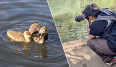 I’ve taken over 6,000 photos on the Canon EOS R6 Mark III: here are my favorite portraits, wildlife and landscape shots