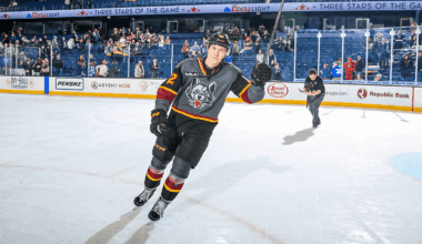 Chicago Wolves' Season Ends In Calder Cup Finals