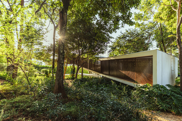 Ascendente House / TETRO Arquitetura - Exterior Photography, Forest, Garden