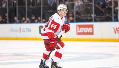 Apr 4, 2026; New York, New York, USA; Detroit Red Wings defenseman Axel Sandin-Pellikka (44) skates against the New York Rangers during the third period at Madison Square Garden. Mandatory Credit: Danny Wild-Imagn Images