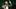 Coco Gauff celebrates at the 2026 Wimbledon Championships. Coco Gauff celebrates at the 2026 Wimbledon Championships.