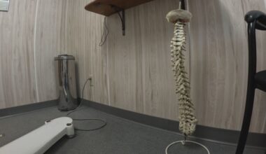Davenport chiropractor surrenders his license: The standard of care you should expect
