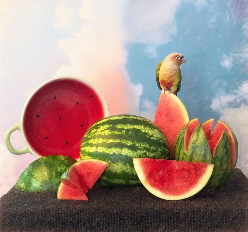 A colorful parrot perches on a watermelon slice amid whole and cut watermelons and a watermelon-patterned bowl against a soft, cloudy sky background.