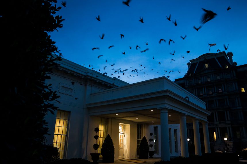 Starlings fly over the West Wing of the White House at sunset in January 2018.