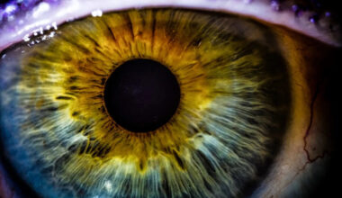 A Breakthrough Therapy Could Reverse Blindness in Millions of People—By Restoring ‘Biological Memory’