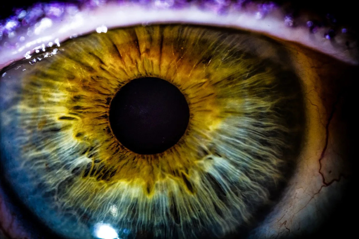A Breakthrough Therapy Could Reverse Blindness in Millions of People—By Restoring ‘Biological Memory’
