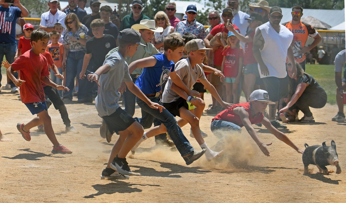 Kids chase a piglet during the 70th annual Pick-n-Hoe Days in Dove Creek. Adults standing behind them form a living fence.