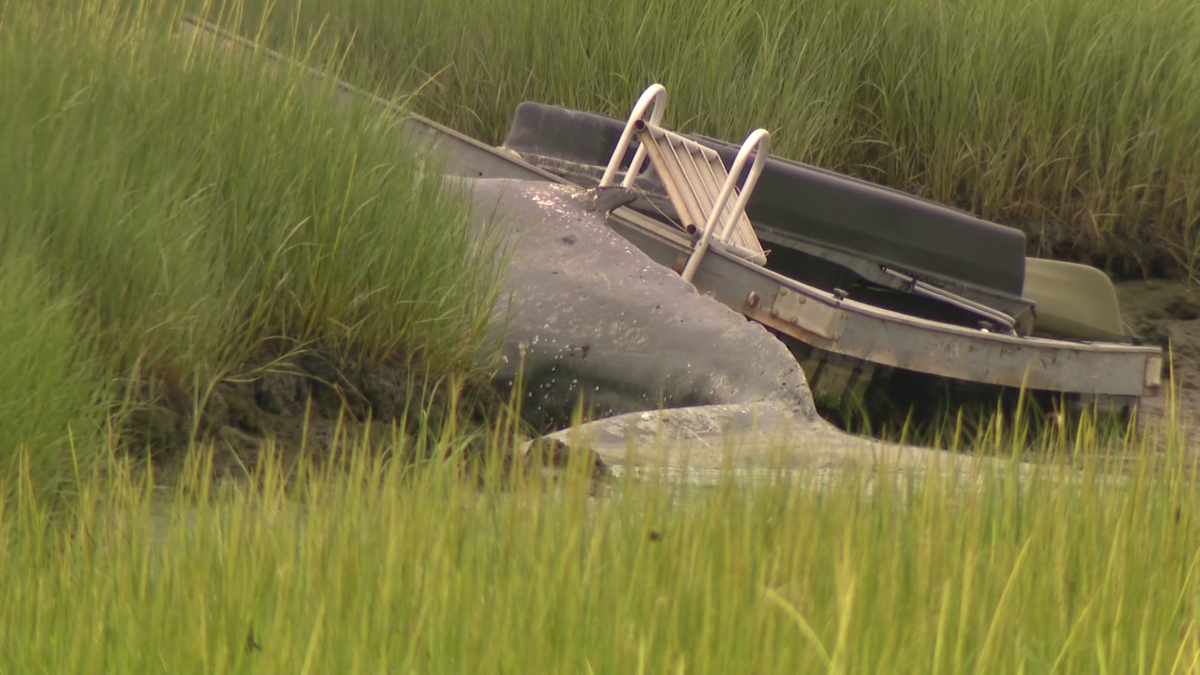 Dead whale washes ashore in Winthrop, found under dock