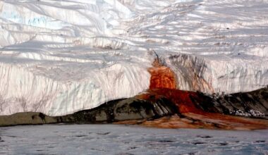 There's a Waterfall in Antarctica That Bleeds Red – Here's What's Hiding Inside It