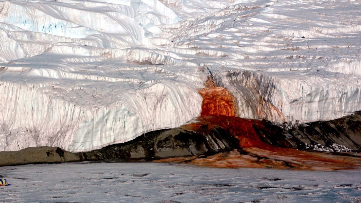 There's a Waterfall in Antarctica That Bleeds Red – Here's What's Hiding Inside It