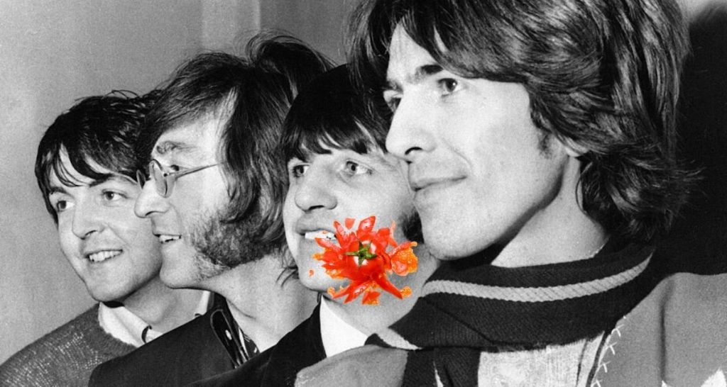 The Beatles, Ringo Starr, With a Little Help From My Friends