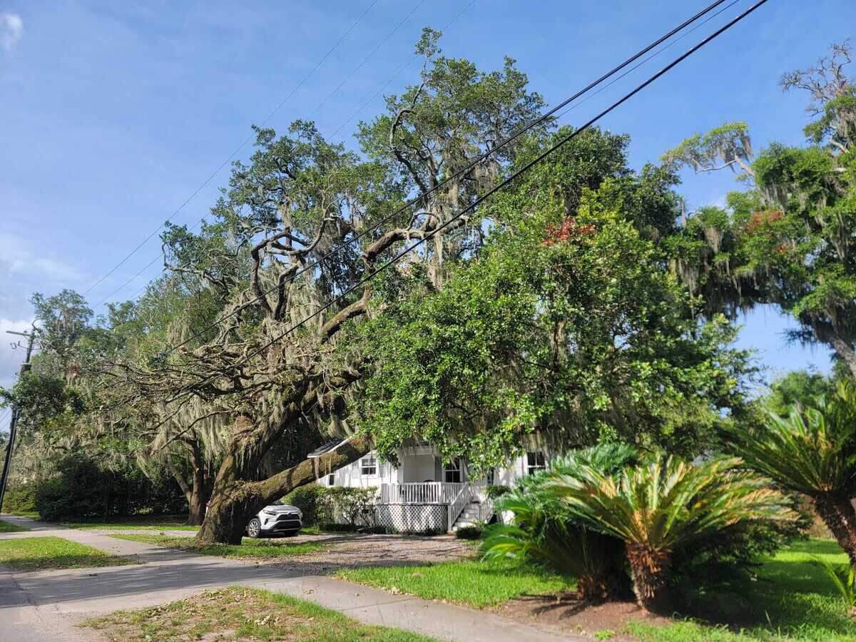 Tree trimming work along power lines in the Pigeon Point area has angered some residents who think it goes too far. Dominion Energy says the trimming is needed for public safety.