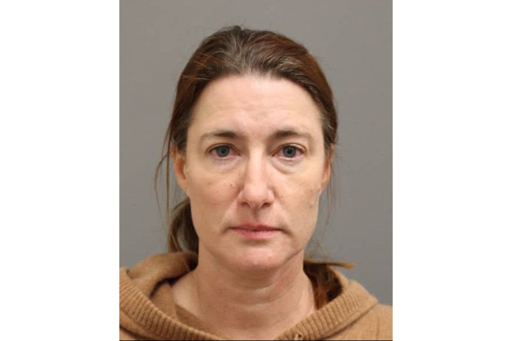 Mugshot of Julie DeVuono.