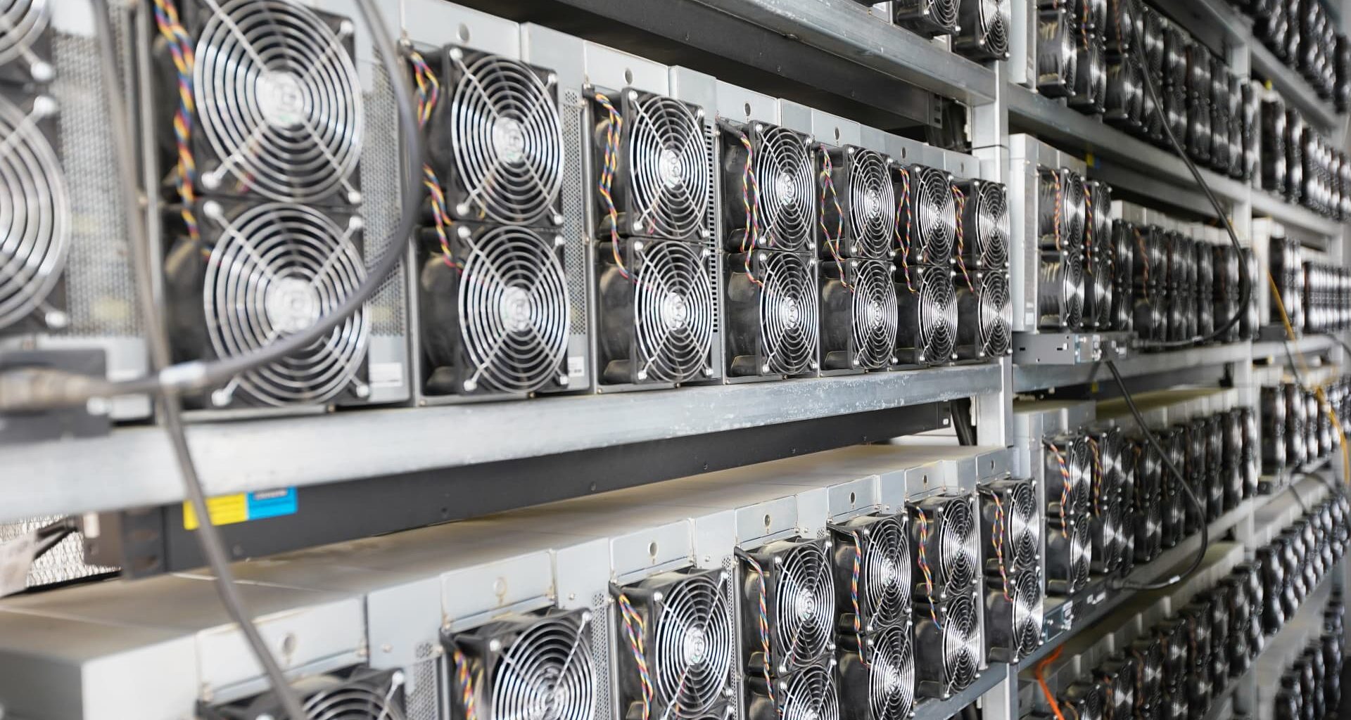 Crypto stocks rally thanks to rotation from AI infrastructure; bitcoin miners lag