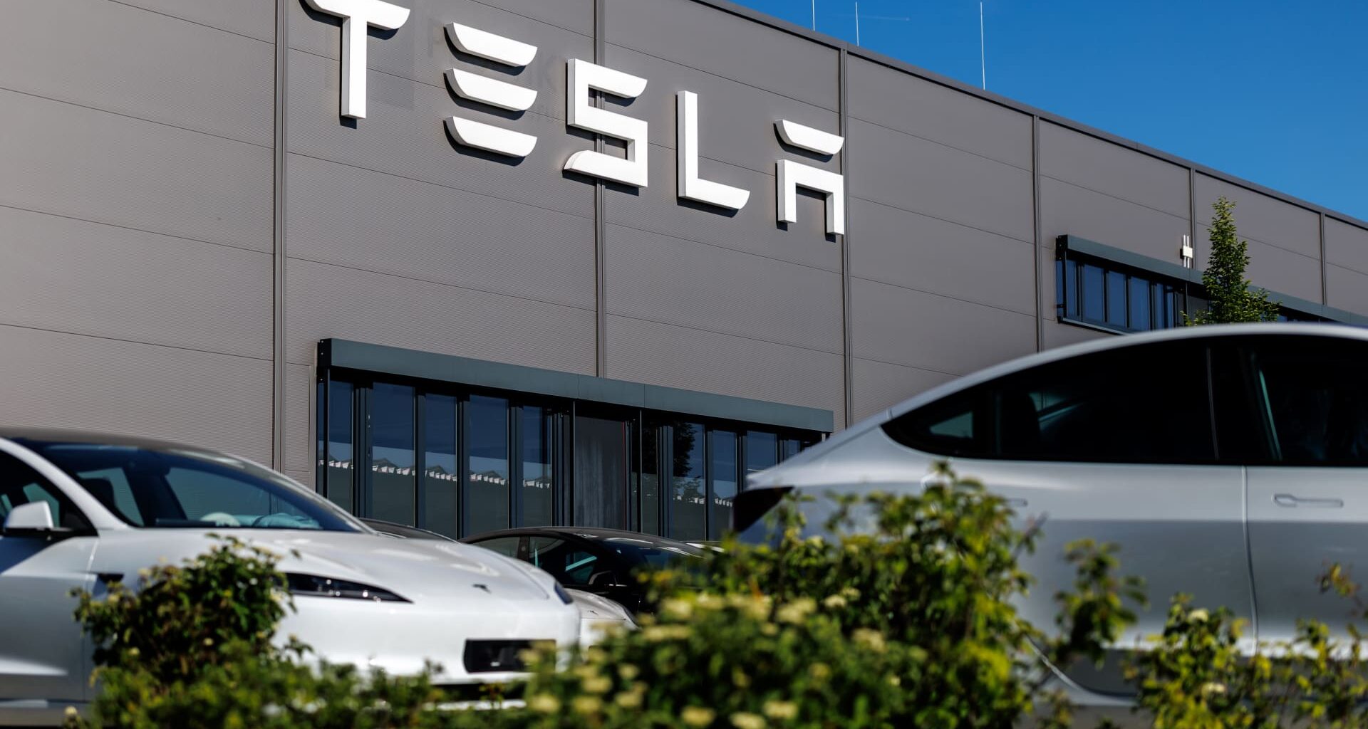 The bar for Tesla earnings is sky-high. Here's why and how options traders can capitalize