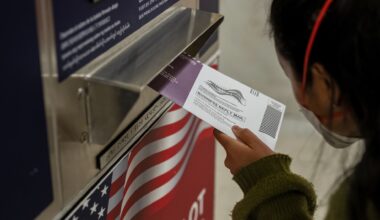 U.S. appeals court rules Trump cannot implement mail-in voting order