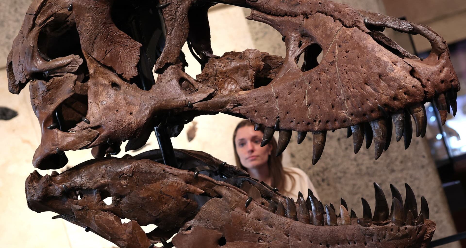 Tech wealth fuels record prices for dinosaur bones, art and watches: Experts