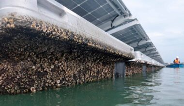 floating solar panel covered with barnacles