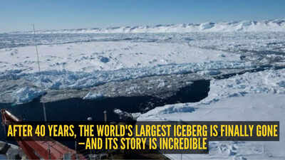 Bigger than London, larger than Goa: After 40 years, the world's largest iceberg 'A23a' has vanished