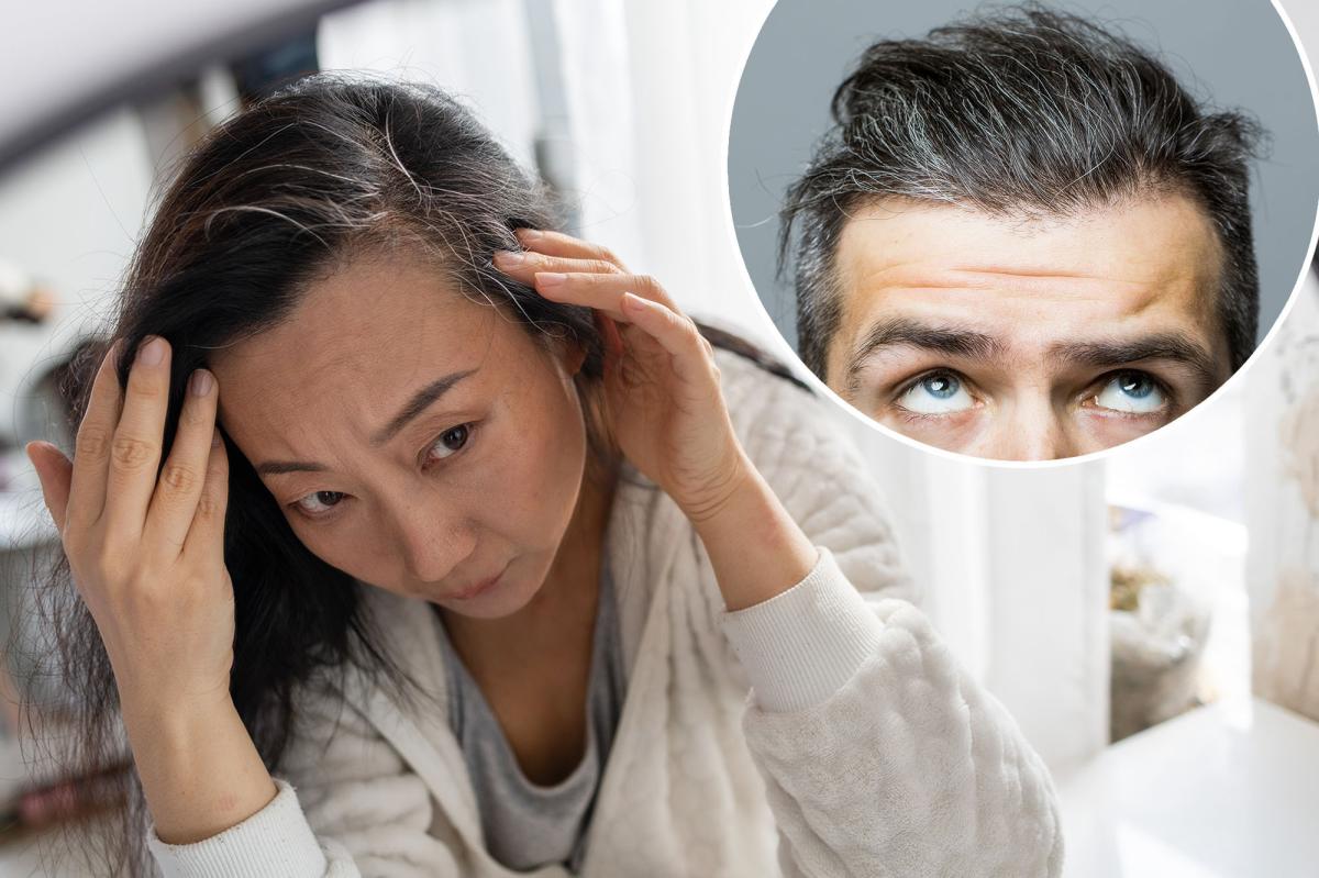 Is grey hair reversible? Scientists are putting color back into strands