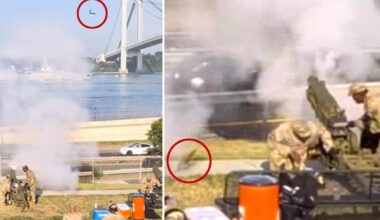 Kamikaze squirrel goes flying in cannon blast for America 250