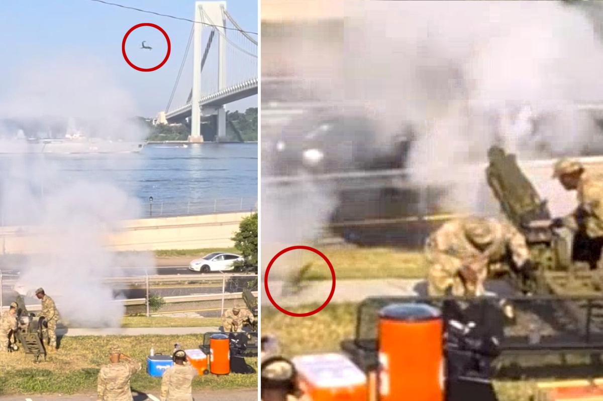 Kamikaze squirrel goes flying in cannon blast for America 250