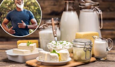 Plain yogurt linked to slowing biological aging study suggests