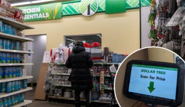 Dollar Tree installs price scanners for surprising reason:
