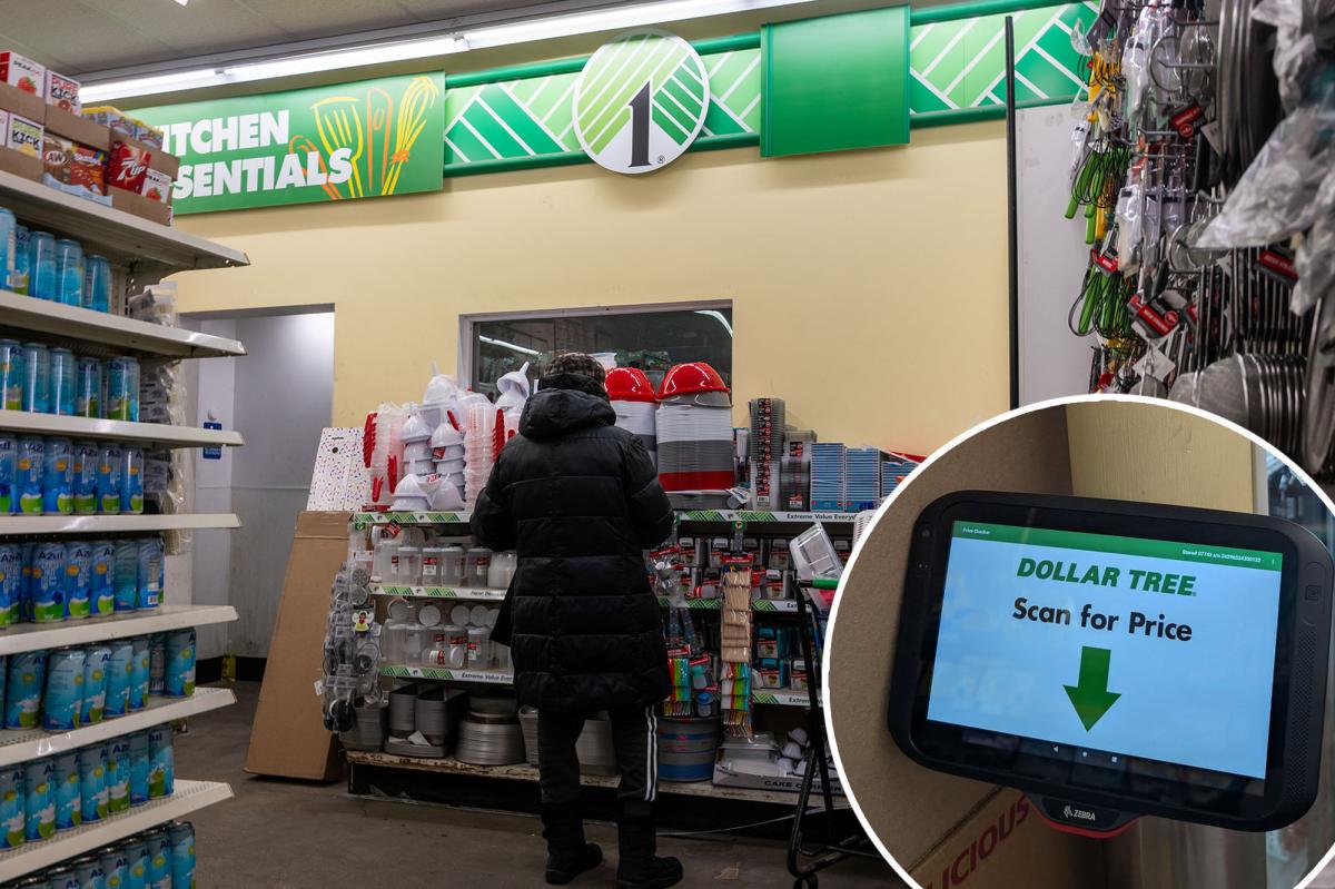 Dollar Tree installs price scanners for surprising reason: