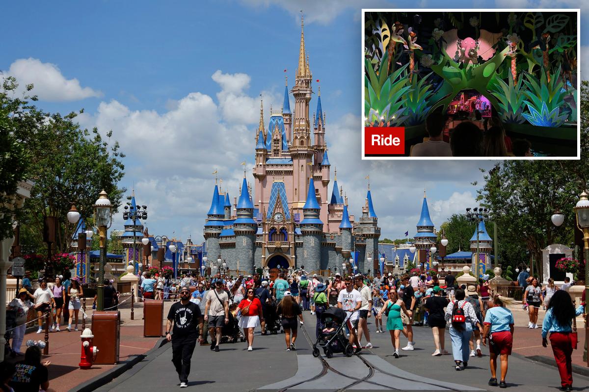 Disney World guest, 54, died on iconic ride after suffering heart emergency, new report reveals