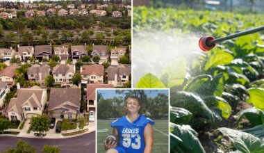 SoCal city suspends use of landscaping chemical amid rare cancer cluster