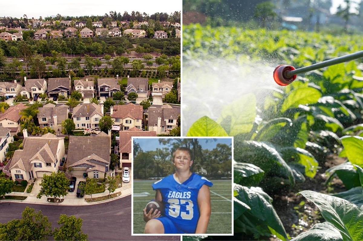 SoCal city suspends use of landscaping chemical amid rare cancer cluster