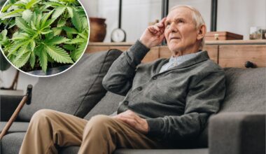 Can weed help dementia patients? Study finds surprising upsides