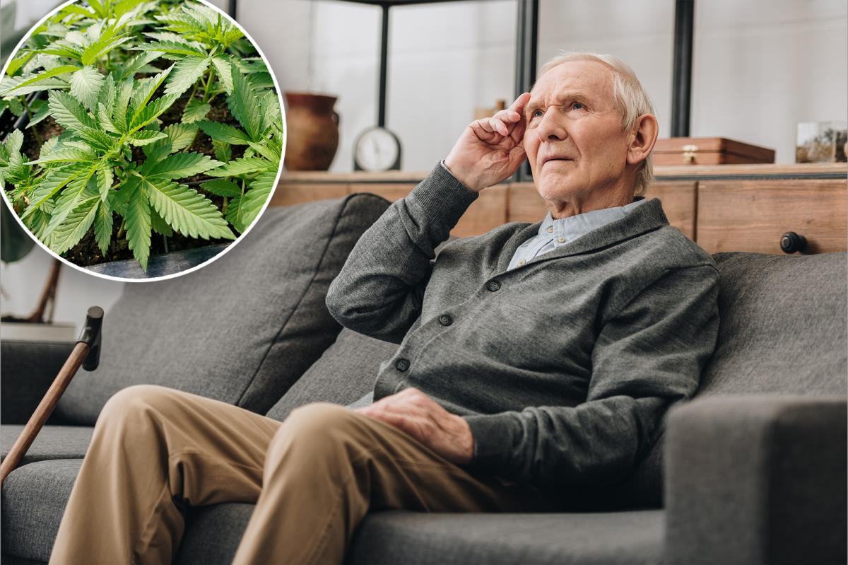 Can weed help dementia patients? Study finds surprising upsides