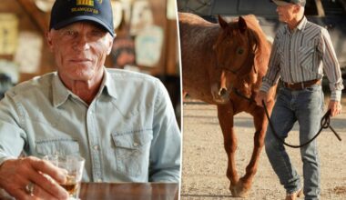 Ed Harris’ future on ‘Dutton Ranch’ revealed after ‘pissed’ actor begged his team to get him ‘the f–k out’ - Page Six