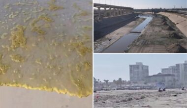 San Diego beach sees waves of raw sewage amid Tijuana River crisis