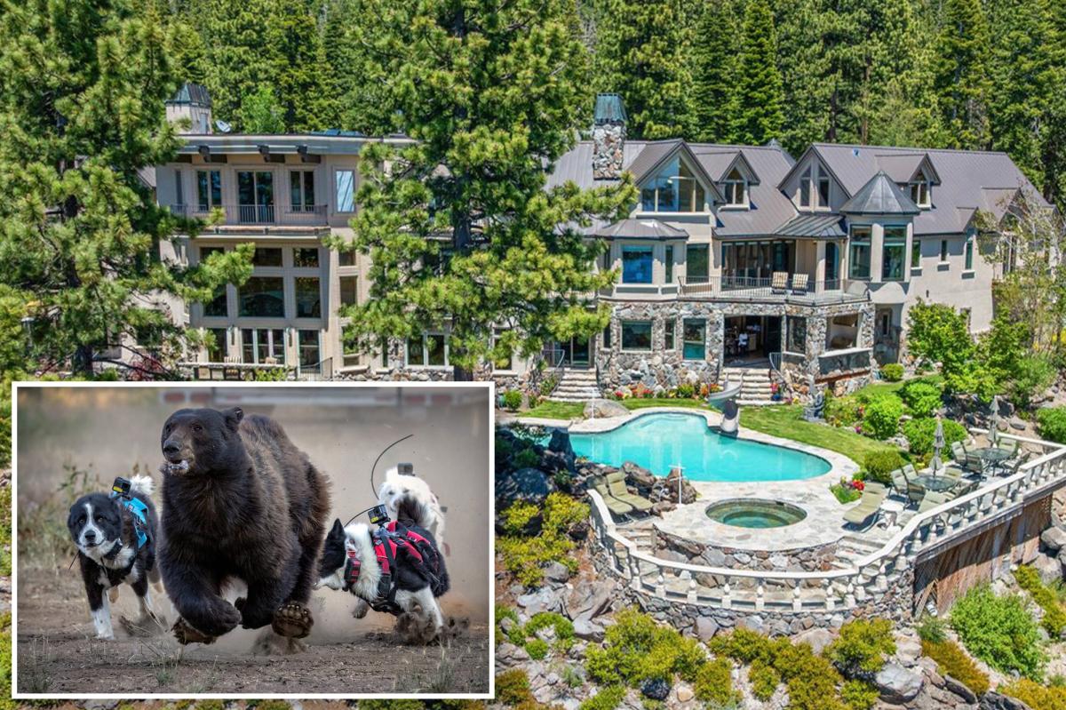 Lake Tahoe homeowners deploy new strategy against bear crisis