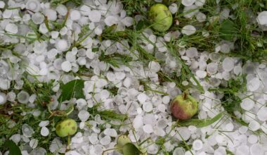 US Has a 'Blind Spot' on Severe Storms: Hail