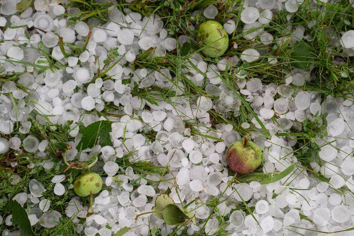 US Has a 'Blind Spot' on Severe Storms: Hail