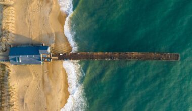 1.7K-Pound Great White Cruises by Outer Banks