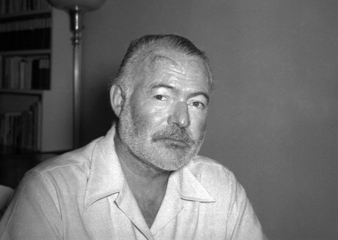 A New Wasp Takes a Famous Literary Name