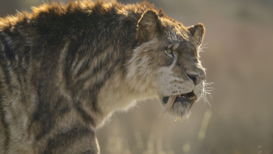 Inside the Painful End of the Saber-Toothed Cat