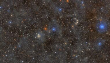 The largest digital camera ever built begins decade-long survey of the universe