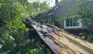 Ottawa-Gatineau cleans up after storm under smothering heat